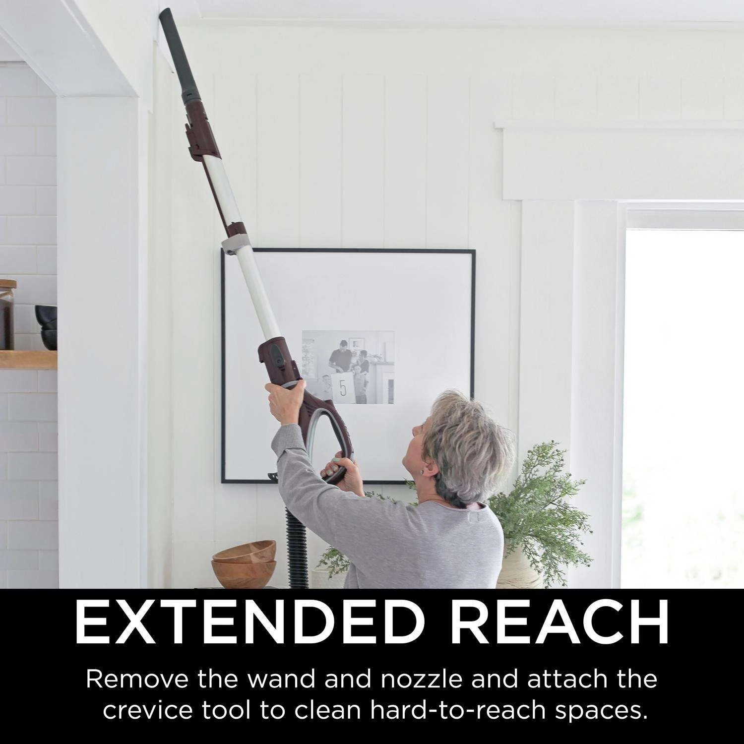 Shark Bagless Corded HEPA Filter Upright Vacuum 6 Shark Bagless Corded HEPA Filter Upright Vacuum - Image 4