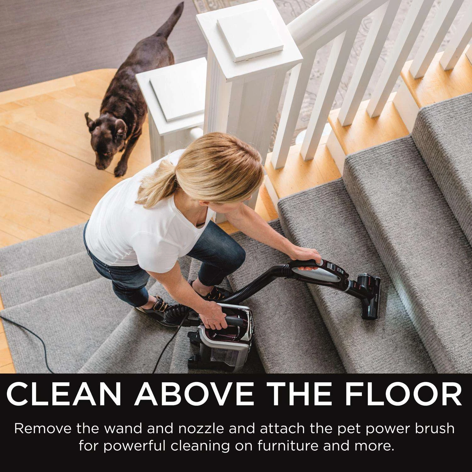 Shark Bagless Corded HEPA Filter Upright Vacuum 4 Shark Bagless Corded HEPA Filter Upright Vacuum - Image 2